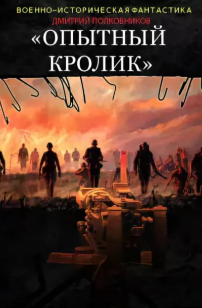 Опытный кролик - Дмитрий Полковников Лучшие аудиокниги онлайн слушать бесплатно➝ Без остановки, полными циклами! ☆Более 100000 новых книг☆ ➝ Присоединяйтесь ✔️ audioknigi-onlain.com