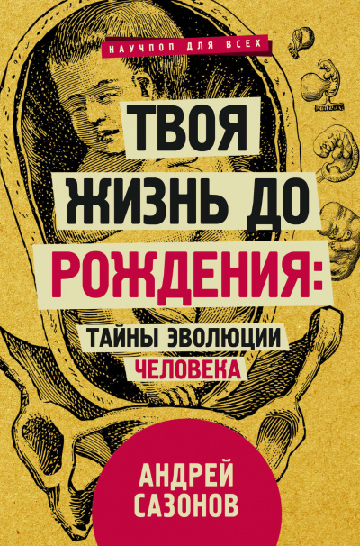 Твоя жизнь до рождения: тайны эволюции человека - Андрей Сазонов Лучшие аудиокниги онлайн слушать бесплатно➝ Без остановки, полными циклами! ☆Более 100000 новых книг☆ ➝ Присоединяйтесь ✔️ audioknigi-onlain.com