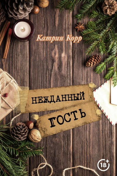 Нежданный гость - Катрин Корр Лучшие аудиокниги онлайн слушать бесплатно➝ Без остановки, полными циклами! ☆Более 100000 новых книг☆ ➝ Присоединяйтесь ✔️ audioknigi-onlain.com