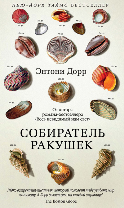 Собиратель ракушек - Энтони Дорр Лучшие аудиокниги онлайн слушать бесплатно➝ Без остановки, полными циклами! ☆Более 100000 новых книг☆ ➝ Присоединяйтесь ✔️ audioknigi-onlain.com