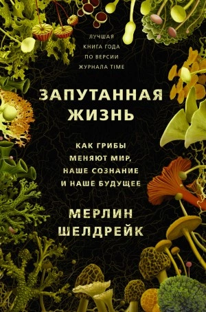 Запутанная жизнь. Как грибы меняют мир, наше сознание и наше будущее - Мерлин Шелдрейк Лучшие аудиокниги онлайн слушать бесплатно➝ Без остановки, полными циклами! ☆Более 100000 новых книг☆ ➝ Присоединяйтесь ✔️ audioknigi-onlain.com