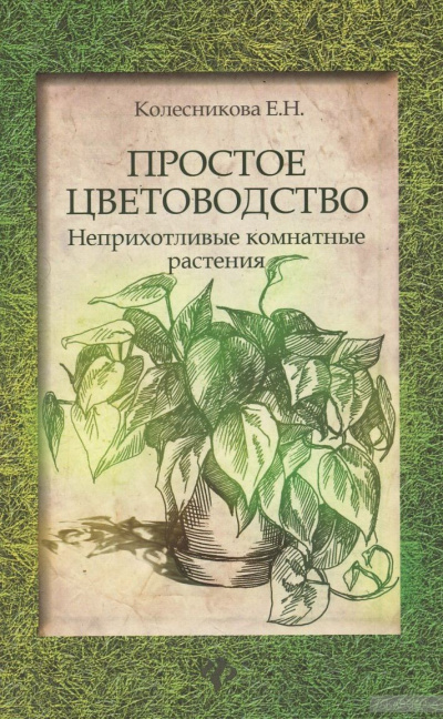 Простое цветоводство: неприхотливые комнатные растения - Елена Колесникова Лучшие аудиокниги онлайн слушать бесплатно➝ Без остановки, полными циклами! ☆Более 100000 новых книг☆ ➝ Присоединяйтесь ✔️ audioknigi-onlain.com