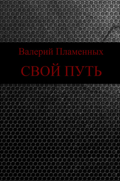 Свой Путь - Валерий Пламенных Лучшие аудиокниги онлайн слушать бесплатно➝ Без остановки, полными циклами! ☆Более 100000 новых книг☆ ➝ Присоединяйтесь ✔️ audioknigi-onlain.com