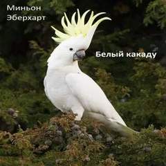 Белый какаду - Миньон Эберхарт Лучшие аудиокниги онлайн слушать бесплатно➝ Без остановки, полными циклами! ☆Более 100000 новых книг☆ ➝ Присоединяйтесь ✔️ audioknigi-onlain.com