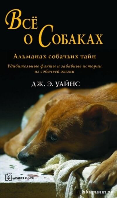 Все о собаках. Альманах собачьих тайн - Уайнс Дж.Э. Лучшие аудиокниги онлайн слушать бесплатно➝ Без остановки, полными циклами! ☆Более 100000 новых книг☆ ➝ Присоединяйтесь ✔️ audioknigi-onlain.com