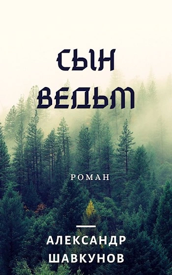 Последствия. Сын Ведьм - Александр Шавкунов Лучшие аудиокниги онлайн слушать бесплатно➝ Без остановки, полными циклами! ☆Более 100000 новых книг☆ ➝ Присоединяйтесь ✔️ audioknigi-onlain.com