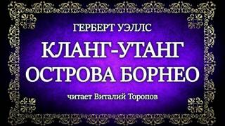 Кланг-утанг острова Борнео - Герберт Уэллс Лучшие аудиокниги онлайн слушать бесплатно➝ Без остановки, полными циклами! ☆Более 100000 новых книг☆ ➝ Присоединяйтесь ✔️ audioknigi-onlain.com