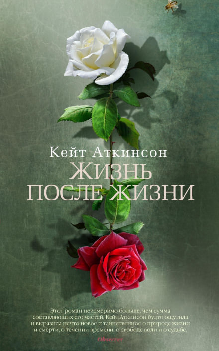 Жизнь после жизни - Кейт Аткинсон Лучшие аудиокниги онлайн слушать бесплатно➝ Без остановки, полными циклами! ☆Более 100000 новых книг☆ ➝ Присоединяйтесь ✔️ audioknigi-onlain.com