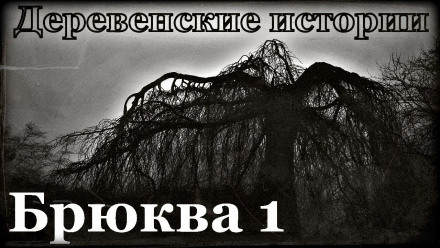 Брюква - Роман Пономарев Лучшие аудиокниги онлайн слушать бесплатно➝ Без остановки, полными циклами! ☆Более 100000 новых книг☆ ➝ Присоединяйтесь ✔️ audioknigi-onlain.com