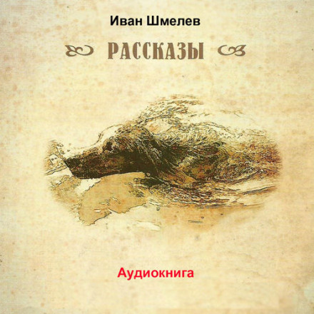 Последний выстрел - Иван Шмелёв Лучшие аудиокниги онлайн слушать бесплатно➝ Без остановки, полными циклами! ☆Более 100000 новых книг☆ ➝ Присоединяйтесь ✔️ audioknigi-onlain.com
