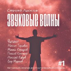 Звуковые волны - Лысков Сергей Лучшие аудиокниги онлайн слушать бесплатно➝ Без остановки, полными циклами! ☆Более 100000 новых книг☆ ➝ Присоединяйтесь ✔️ audioknigi-onlain.com