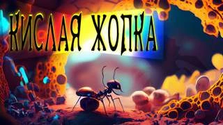 Кислая жопка - Евгений Шиков Лучшие аудиокниги онлайн слушать бесплатно➝ Без остановки, полными циклами! ☆Более 100000 новых книг☆ ➝ Присоединяйтесь ✔️ audioknigi-onlain.com