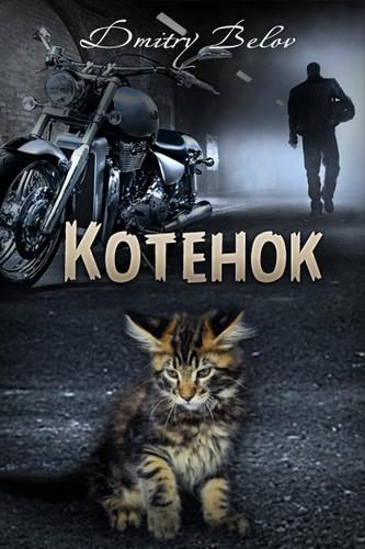 Котёнок - Дмитрий Белов Лучшие аудиокниги онлайн слушать бесплатно➝ Без остановки, полными циклами! ☆Более 100000 новых книг☆ ➝ Присоединяйтесь ✔️ audioknigi-onlain.com