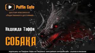 Собака - Надежда Тэффи Лучшие аудиокниги онлайн слушать бесплатно➝ Без остановки, полными циклами! ☆Более 100000 новых книг☆ ➝ Присоединяйтесь ✔️ audioknigi-onlain.com