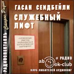 Служебный лифт - Гасан Сеидбейли Лучшие аудиокниги онлайн слушать бесплатно➝ Без остановки, полными циклами! ☆Более 100000 новых книг☆ ➝ Присоединяйтесь ✔️ audioknigi-onlain.com