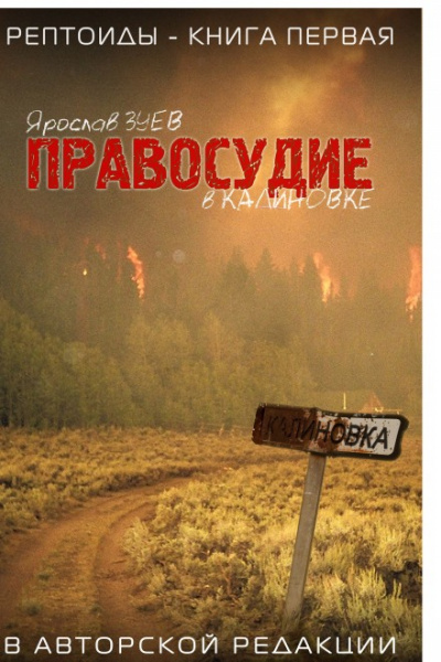 Правосудие в Калиновке - Ярослав Зуев Лучшие аудиокниги онлайн слушать бесплатно➝ Без остановки, полными циклами! ☆Более 100000 новых книг☆ ➝ Присоединяйтесь ✔️ audioknigi-onlain.com