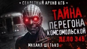 Дело №345. Перегон "Комсомольской" - Михаил Шетько Лучшие аудиокниги онлайн слушать бесплатно➝ Без остановки, полными циклами! ☆Более 100000 новых книг☆ ➝ Присоединяйтесь ✔️ audioknigi-onlain.com