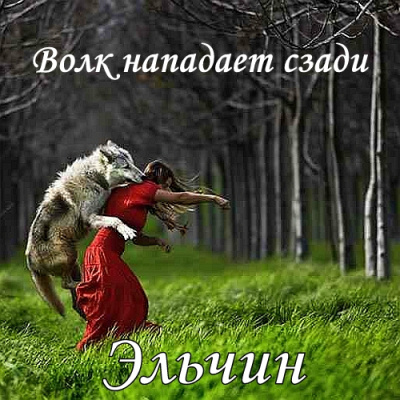 Волк нападает сзади - Эльчин Лучшие аудиокниги онлайн слушать бесплатно➝ Без остановки, полными циклами! ☆Более 100000 новых книг☆ ➝ Присоединяйтесь ✔️ audioknigi-onlain.com