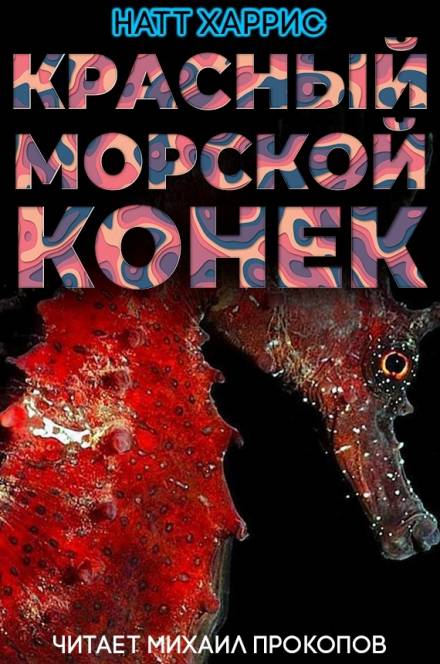 Красный морской конёк - Данимира То Лучшие аудиокниги онлайн слушать бесплатно➝ Без остановки, полными циклами! ☆Более 100000 новых книг☆ ➝ Присоединяйтесь ✔️ audioknigi-onlain.com