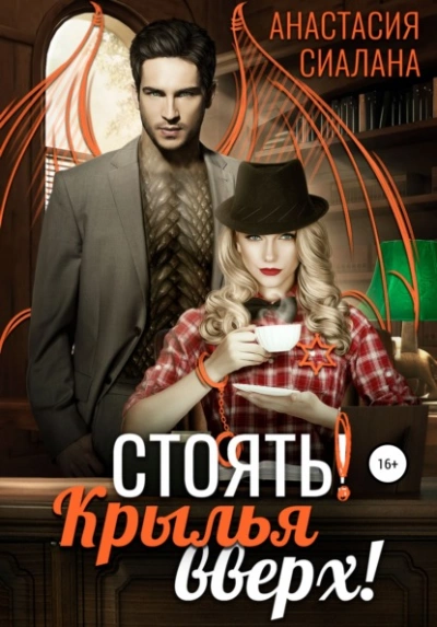 Стоять! Крылья вверх! - Анастасия Сиалана Лучшие аудиокниги онлайн слушать бесплатно➝ Без остановки, полными циклами! ☆Более 100000 новых книг☆ ➝ Присоединяйтесь ✔️ audioknigi-onlain.com