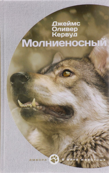 Молниеносный - Джеймс Оливер Кервуд Лучшие аудиокниги онлайн слушать бесплатно➝ Без остановки, полными циклами! ☆Более 100000 новых книг☆ ➝ Присоединяйтесь ✔️ audioknigi-onlain.com
