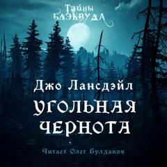 Угольная чернота - Джо Лансдейл Лучшие аудиокниги онлайн слушать бесплатно➝ Без остановки, полными циклами! ☆Более 100000 новых книг☆ ➝ Присоединяйтесь ✔️ audioknigi-onlain.com