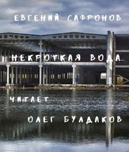 Некроткая вода - Евгений Сафронов Лучшие аудиокниги онлайн слушать бесплатно➝ Без остановки, полными циклами! ☆Более 100000 новых книг☆ ➝ Присоединяйтесь ✔️ audioknigi-onlain.com