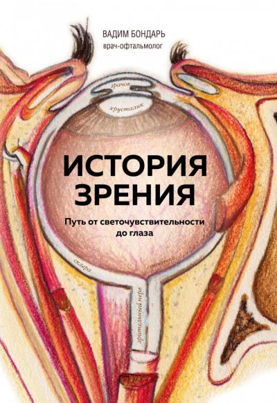 История зрения - путь от светочувствительности до глаза - Вадим Бондарь Лучшие аудиокниги онлайн слушать бесплатно➝ Без остановки, полными циклами! ☆Более 100000 новых книг☆ ➝ Присоединяйтесь ✔️ audioknigi-onlain.com
