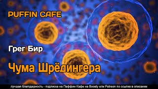 Чума Шрёдингера - Грег Бир Лучшие аудиокниги онлайн слушать бесплатно➝ Без остановки, полными циклами! ☆Более 100000 новых книг☆ ➝ Присоединяйтесь ✔️ audioknigi-onlain.com