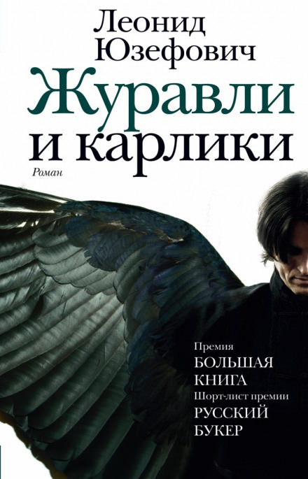 Журавли и карлики - Леонид Юзефович Лучшие аудиокниги онлайн слушать бесплатно➝ Без остановки, полными циклами! ☆Более 100000 новых книг☆ ➝ Присоединяйтесь ✔️ audioknigi-onlain.com