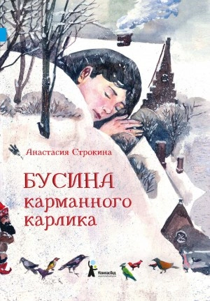 Бусина карманного карлика - Анастасия Строкина Лучшие аудиокниги онлайн слушать бесплатно➝ Без остановки, полными циклами! ☆Более 100000 новых книг☆ ➝ Присоединяйтесь ✔️ audioknigi-onlain.com