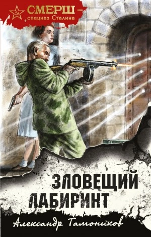 Зловещий лабиринт - Александр Тамоников Лучшие аудиокниги онлайн слушать бесплатно➝ Без остановки, полными циклами! ☆Более 100000 новых книг☆ ➝ Присоединяйтесь ✔️ audioknigi-onlain.com