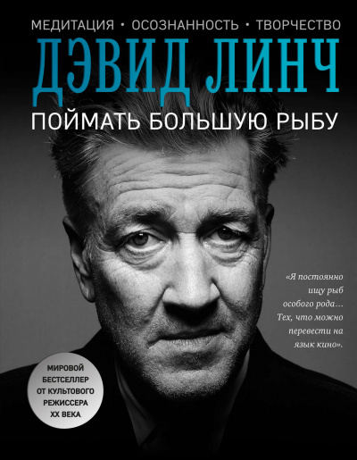 Поймать большую рыбу. Медитация, осознанность, творчество - Дэвид Линч Лучшие аудиокниги онлайн слушать бесплатно➝ Без остановки, полными циклами! ☆Более 100000 новых книг☆ ➝ Присоединяйтесь ✔️ audioknigi-onlain.com