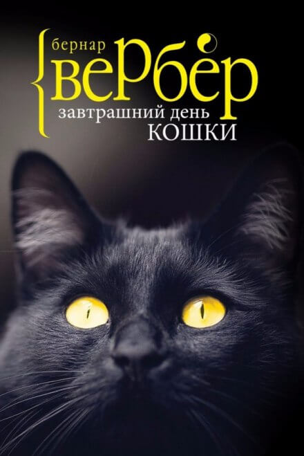 Завтрашний день кошки - Бернард Вербер Лучшие аудиокниги онлайн слушать бесплатно➝ Без остановки, полными циклами! ☆Более 100000 новых книг☆ ➝ Присоединяйтесь ✔️ audioknigi-onlain.com