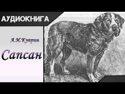 "Сапсан" А.И.Куприн. Аудиокнига Лучшие аудиокниги онлайн слушать бесплатно➝ Без остановки, полными циклами! ☆Более 100000 новых книг☆ ➝ Присоединяйтесь ✔️ audioknigi-onlain.com