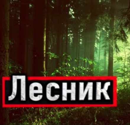 Лесник - Александр Устинов Лучшие аудиокниги онлайн слушать бесплатно➝ Без остановки, полными циклами! ☆Более 100000 новых книг☆ ➝ Присоединяйтесь ✔️ audioknigi-onlain.com