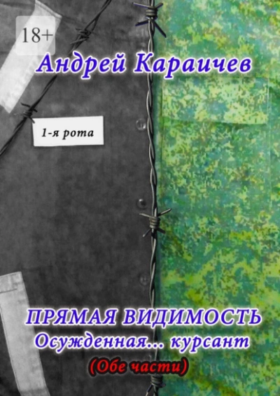 Прямая видимость - Андрей Караичев Лучшие аудиокниги онлайн слушать бесплатно➝ Без остановки, полными циклами! ☆Более 100000 новых книг☆ ➝ Присоединяйтесь ✔️ audioknigi-onlain.com