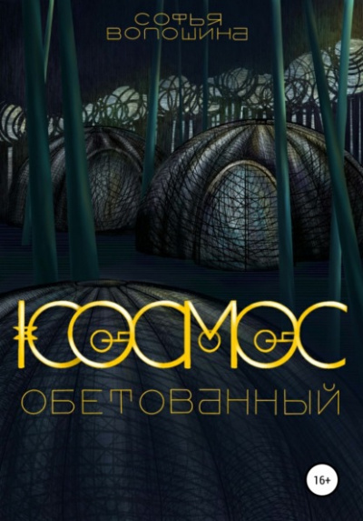 Космос обетованный - Софья Волошина Лучшие аудиокниги онлайн слушать бесплатно➝ Без остановки, полными циклами! ☆Более 100000 новых книг☆ ➝ Присоединяйтесь ✔️ audioknigi-onlain.com