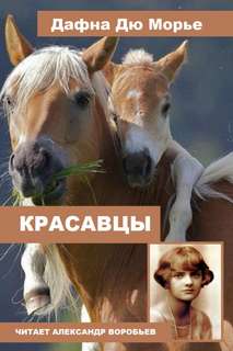 Красавцы - Дафна Дю Морье Лучшие аудиокниги онлайн слушать бесплатно➝ Без остановки, полными циклами! ☆Более 100000 новых книг☆ ➝ Присоединяйтесь ✔️ audioknigi-onlain.com
