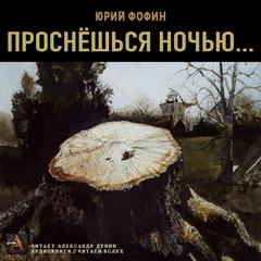 Проснешься ночью - Юрий Фофин Лучшие аудиокниги онлайн слушать бесплатно➝ Без остановки, полными циклами! ☆Более 100000 новых книг☆ ➝ Присоединяйтесь ✔️ audioknigi-onlain.com