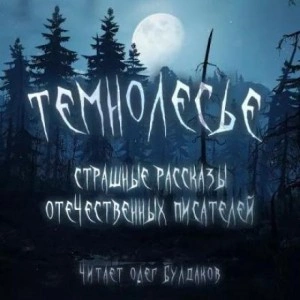 Темнолесье. Страшные рассказы отечественных писателей Лучшие аудиокниги онлайн слушать бесплатно➝ Без остановки, полными циклами! ☆Более 100000 новых книг☆ ➝ Присоединяйтесь ✔️ audioknigi-onlain.com