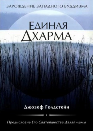 Единая Дхарма - Джозеф Голдстейн Лучшие аудиокниги онлайн слушать бесплатно➝ Без остановки, полными циклами! ☆Более 100000 новых книг☆ ➝ Присоединяйтесь ✔️ audioknigi-onlain.com