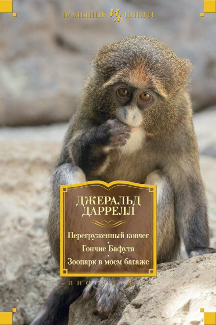 Перегруженный ковчег - Даррелл Джеральд Лучшие аудиокниги онлайн слушать бесплатно➝ Без остановки, полными циклами! ☆Более 100000 новых книг☆ ➝ Присоединяйтесь ✔️ audioknigi-onlain.com