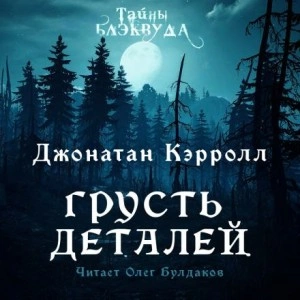 Грусть деталей - Джонатан Кэрролл Лучшие аудиокниги онлайн слушать бесплатно➝ Без остановки, полными циклами! ☆Более 100000 новых книг☆ ➝ Присоединяйтесь ✔️ audioknigi-onlain.com