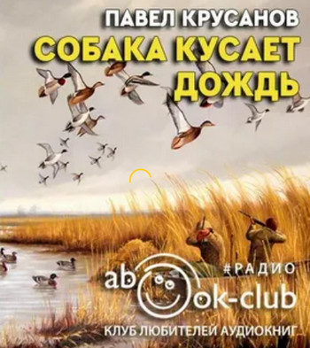 Собака кусает дождь - Павел Крусанов Лучшие аудиокниги онлайн слушать бесплатно➝ Без остановки, полными циклами! ☆Более 100000 новых книг☆ ➝ Присоединяйтесь ✔️ audioknigi-onlain.com