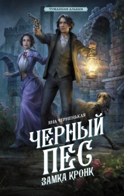 Черный пес замка Кронк - Яна Черненькая Лучшие аудиокниги онлайн слушать бесплатно➝ Без остановки, полными циклами! ☆Более 100000 новых книг☆ ➝ Присоединяйтесь ✔️ audioknigi-onlain.com