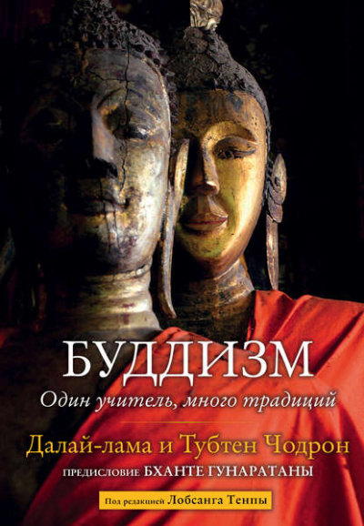 Буддизм. Один учитель, много традиций - Далай-лама XIV, Тубтен Чодрон Лучшие аудиокниги онлайн слушать бесплатно➝ Без остановки, полными циклами! ☆Более 100000 новых книг☆ ➝ Присоединяйтесь ✔️ audioknigi-onlain.com