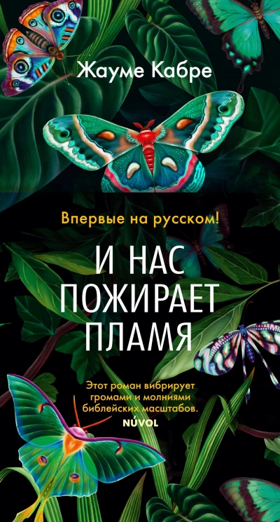 И нас пожирает пламя - Жауме Кабре Лучшие аудиокниги онлайн слушать бесплатно➝ Без остановки, полными циклами! ☆Более 100000 новых книг☆ ➝ Присоединяйтесь ✔️ audioknigi-onlain.com