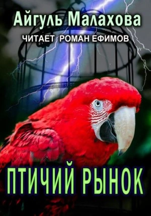 Птичий рынок - Айгуль Малахова Лучшие аудиокниги онлайн слушать бесплатно➝ Без остановки, полными циклами! ☆Более 100000 новых книг☆ ➝ Присоединяйтесь ✔️ audioknigi-onlain.com