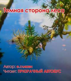 Темная сторона леса - Екатерина Гликен Лучшие аудиокниги онлайн слушать бесплатно➝ Без остановки, полными циклами! ☆Более 100000 новых книг☆ ➝ Присоединяйтесь ✔️ audioknigi-onlain.com